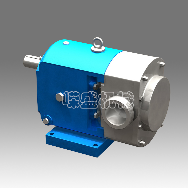 WNB cam rotor pump